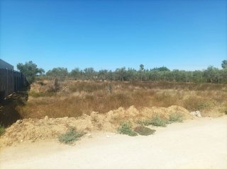 Terreno en la carretera de Don Rodrigo