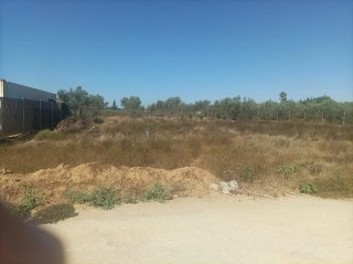 Terreno en la carretera de Don Rodrigo