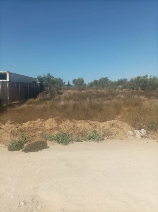 Terreno en la carretera de Don Rodrigo