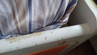 Cama infantil con cajones y cabecero
