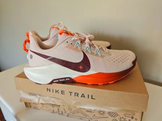 Nike Pegasus Trail 5 Beige/Naranja