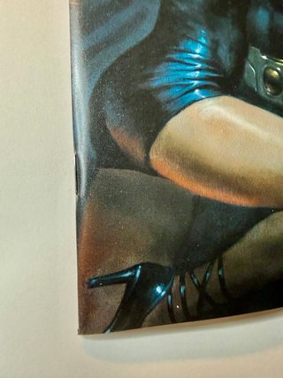 Comic USA Batman Catwoman G'nort 1 Parrillo Ltd800