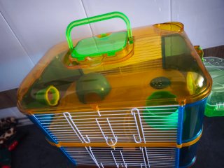 Jaula Hámster 2 Plantas Accesorios