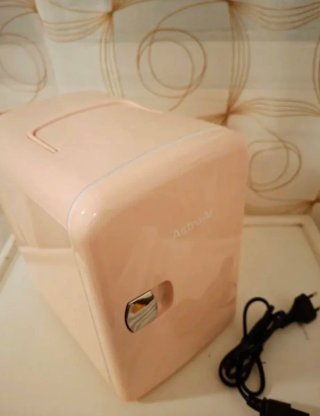 OFERTA!! Mini Nevera Portátil ASTROAI 4L