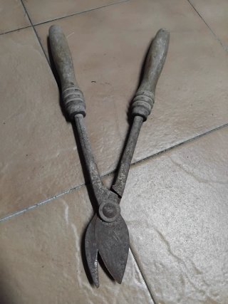 Tijeras de podar antiguas con mangos de madera