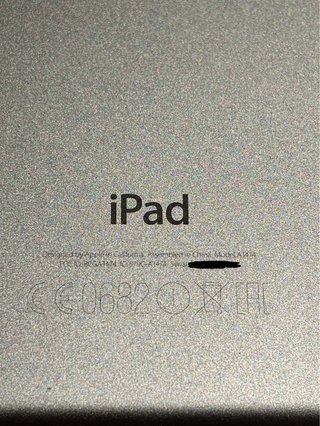 iPad Air 1ª Gen Plata y Blanco