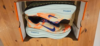 Nike Vomero Plus ZoomX Multicolor