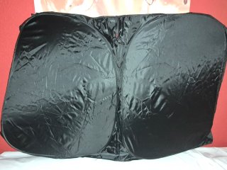 Parasol Parabrisas Coche Plegable Negro