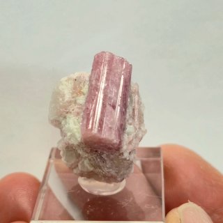 Turmalina rosa rubelita cristal en matriz Brasil
