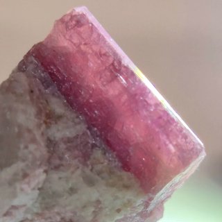 Turmalina rosa rubelita cristal en matriz Brasil