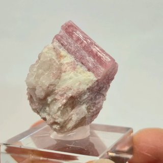 Turmalina rosa rubelita cristal en matriz Brasil