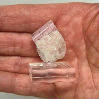 Turmalina rosa rubelita cristal en matriz Brasil