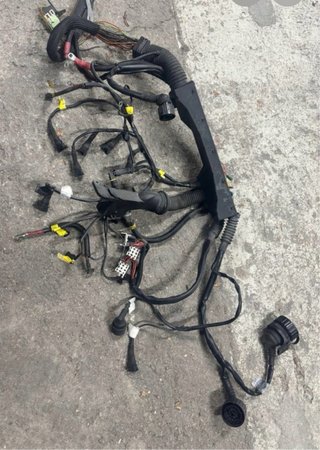 Cableado Motor BMW E36 M43 B18