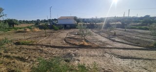 Se vende finca rustica en Guadix