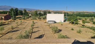 Se vende finca rustica en Guadix