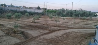 Se vende finca rustica en Guadix