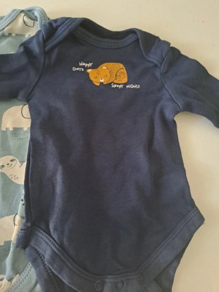 Lote Ropa Bebé y Accesorios