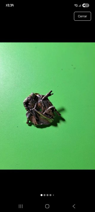 Pin Torero y Toro