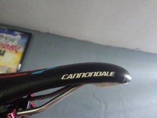 Bicicleta Pivot Mach 4 26