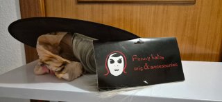 20 Máscaras Bruja Halloween