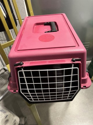 Transportín para mascotas rosa