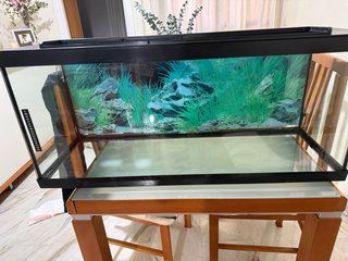 Acuario 120L Negro y Transparente