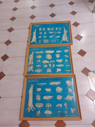 Carteles Carnicería Atrezo