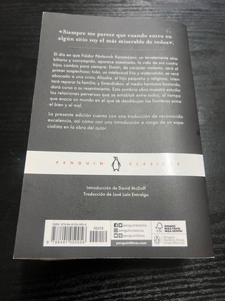 Los hermanos Karamazov / The Brothers Karamazov