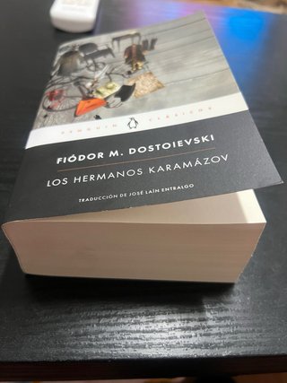 Los hermanos Karamazov / The Brothers Karamazov