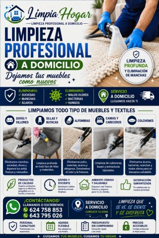 Limpieza y tapicería