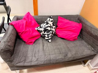 Sofá de 2 plazas gris con cojines rosas