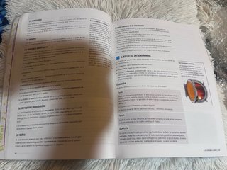 Lengua castellana y literatura 1 Bachillerato
