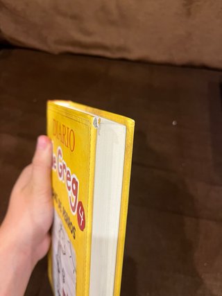 Libros Diario de Greg