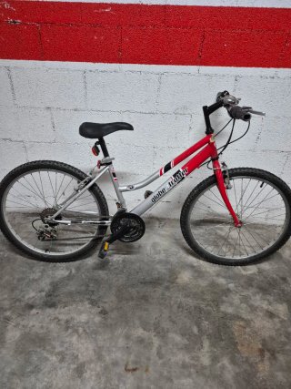 Bicicleta de montaña Globe Trotter