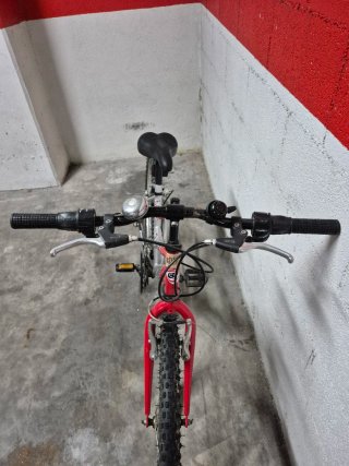 Bicicleta de montaña Globe Trotter