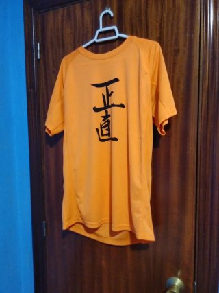 Camiseta naranja con kanji