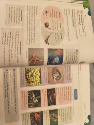 Natural Science, 3 Primary, Outside the Box, ByMe