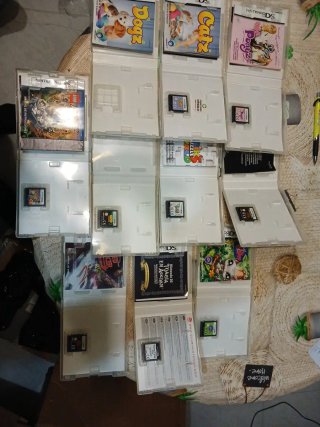 Lote 9 juegos Nintendo DS infantiles
