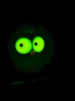 Búho con ojos brillantes que siguen tú mirada