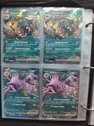 Lote Cartas Pokémon EX
