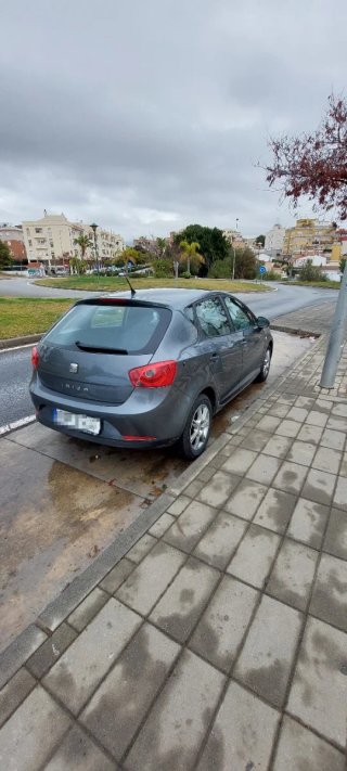 SEAT Ibiza 2012