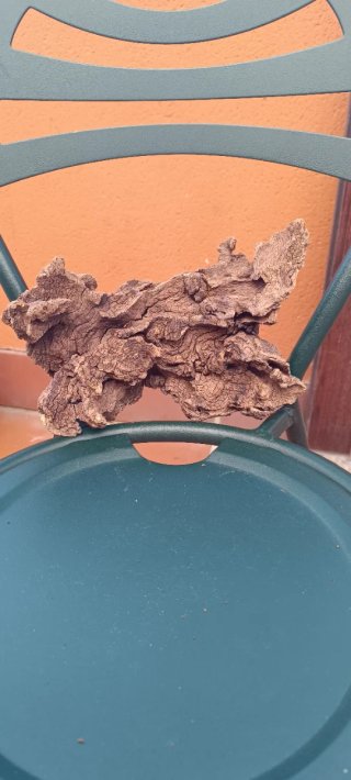 Tronco decorativo para acuario o pecera