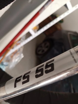 Desbrozadora Stihl FS 55