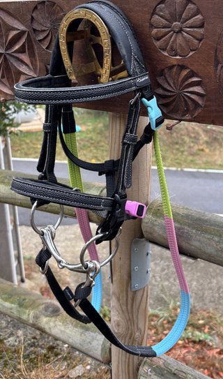 Equipo completo para pony