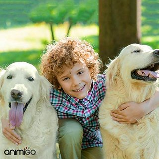 Cepillo Deslanador Animigo Nuevo