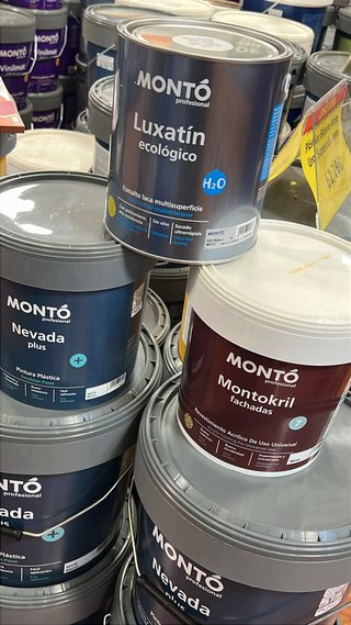 Pintor económico