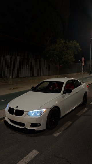 BMW Serie 3 2010