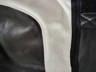 Pantalón Dainese Delta Pro c2