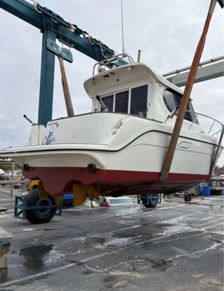 Barco Nautipol 7 Mares 830