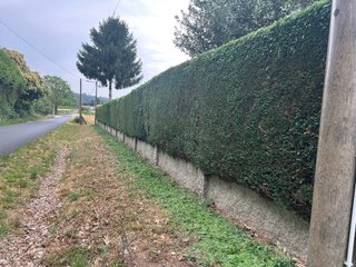 Servicios de jardinería y desbroce